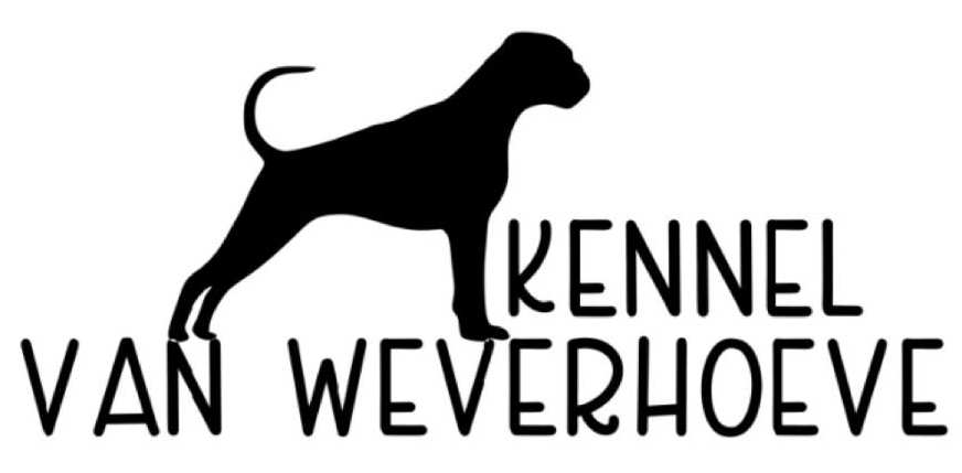 vanweverhoeve.be